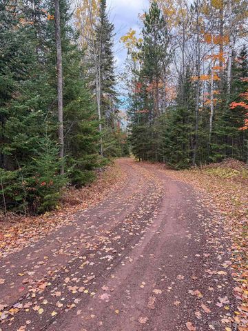 Undisclosed State Highway M-64 Highway, Ontonagon, MI 49953