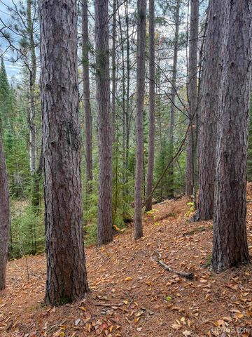 Undisclosed State Highway M-64 Highway, Ontonagon, MI 49953