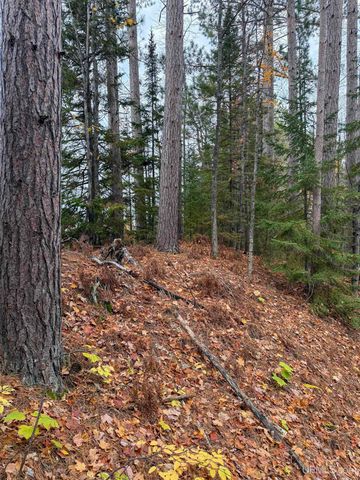 Undisclosed State Highway M-64 Highway, Ontonagon, MI 49953