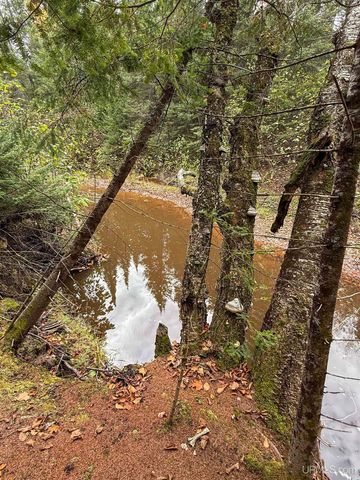 Undisclosed State Highway M-64 Highway, Ontonagon, MI 49953