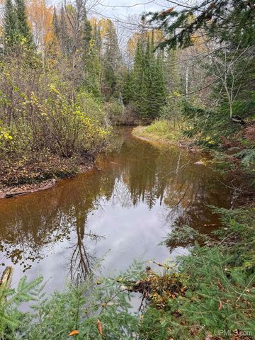 Undisclosed State Highway M-64 Highway, Ontonagon, MI 49953