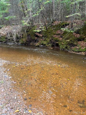 Undisclosed State Highway M-64 Highway, Ontonagon, MI 49953