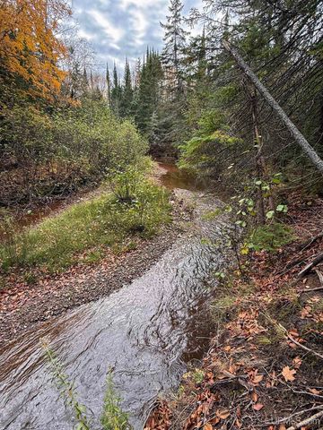 Undisclosed State Highway M-64 Highway, Ontonagon, MI 49953