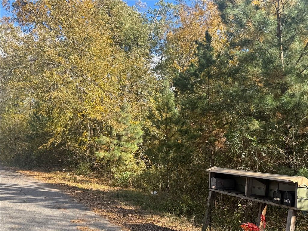 Lot 42 A E Lonsdale Street, Seneca, SC 29678