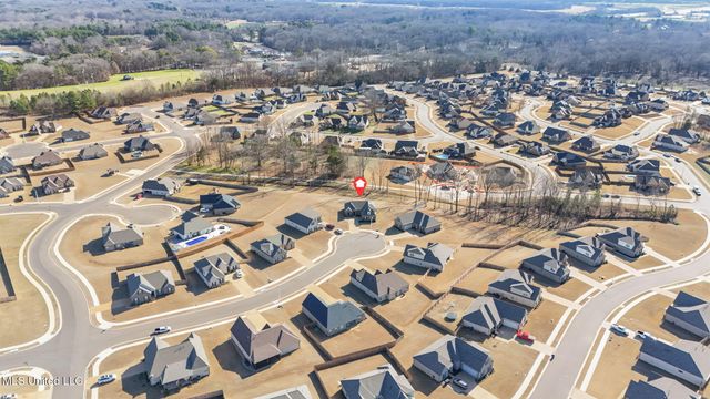 1802 Millers Cove, Nesbit, MS 38651