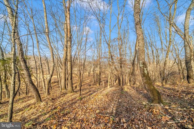 12407 HILL CT, Mount Airy, MD 21771