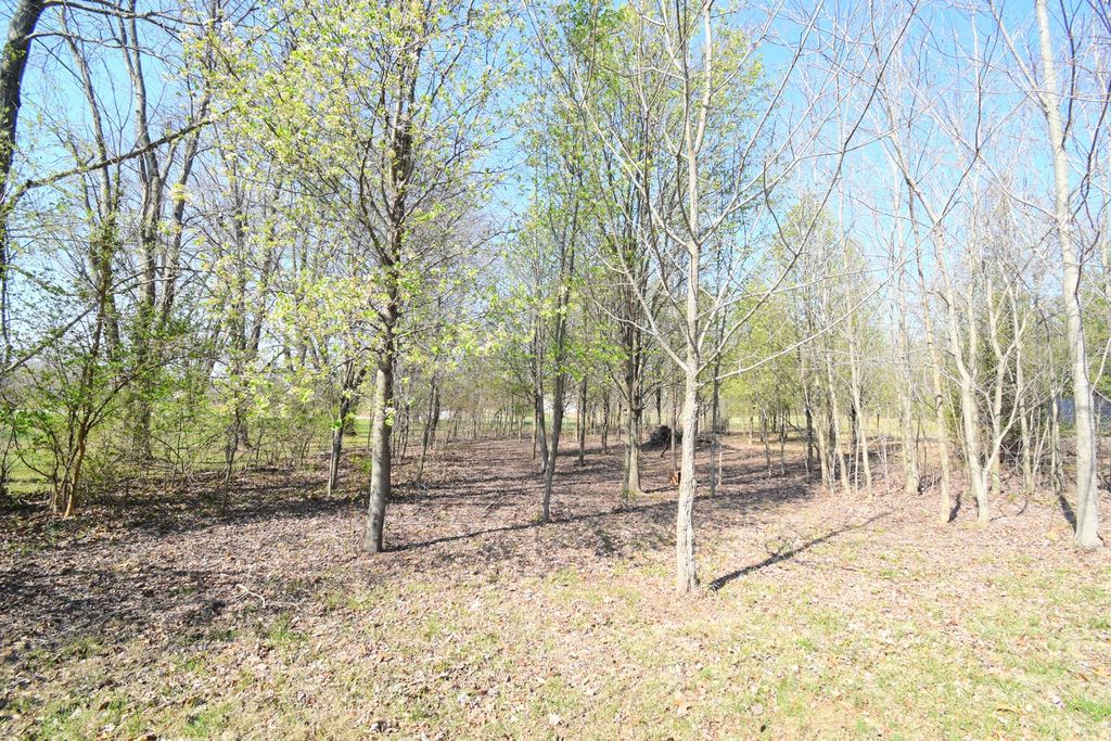 Image 27 of property listing at 15665 N Angling Lane, Mt Vernon, IL 62864