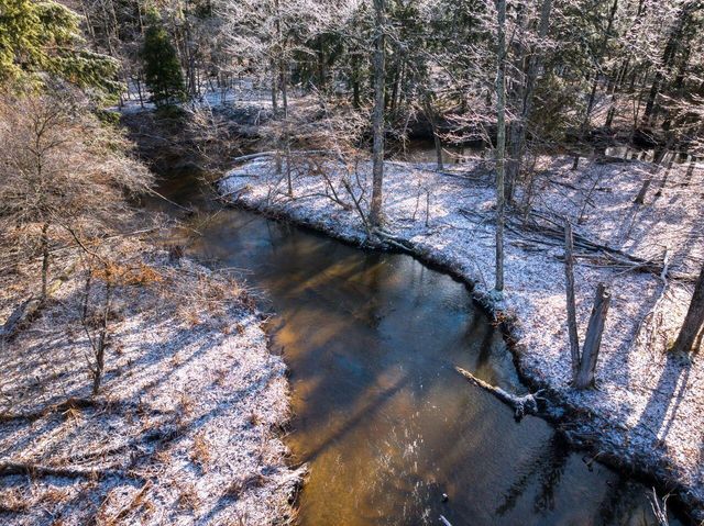 10836 30th Avenue, Evart, MI 49631