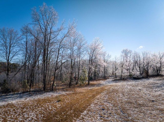 10836 30th Avenue, Evart, MI 49631