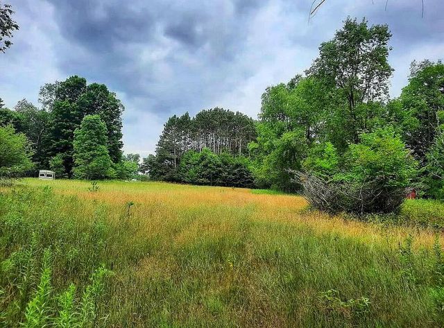 10836 30th Avenue, Evart, MI 49631