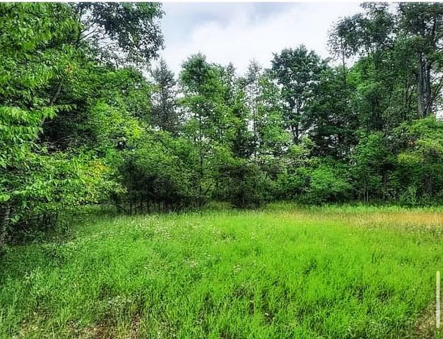 10836 30th Avenue, Evart, MI 49631