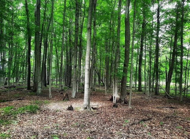 10836 30th Avenue, Evart, MI 49631