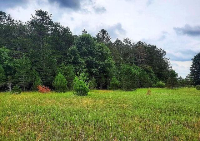 10836 30th Avenue, Evart, MI 49631