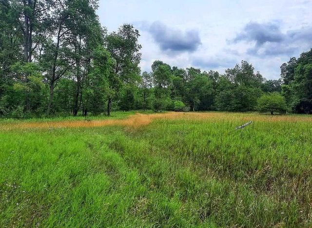 10836 30th Avenue, Evart, MI 49631