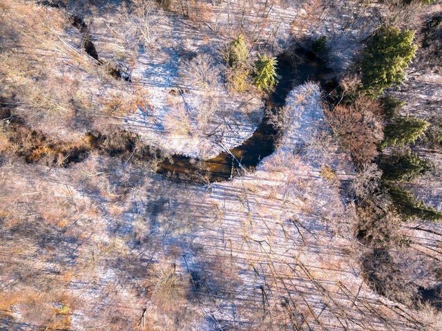 10836 30th Avenue, Evart, MI 49631