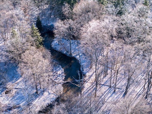 10836 30th Avenue, Evart, MI 49631