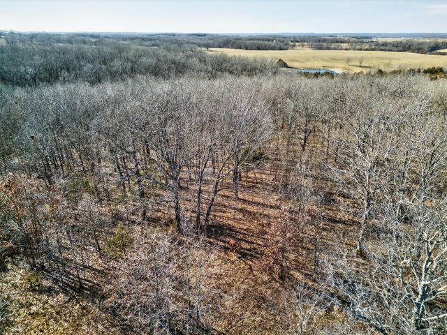 531 Plateau Drive, Marshfield, MO 65706