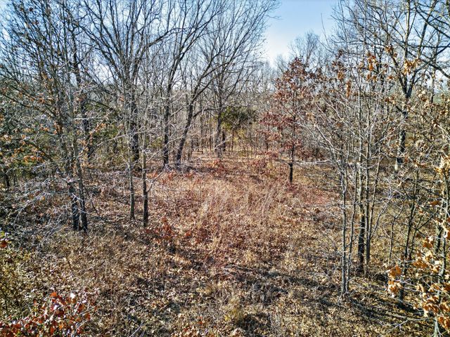 531 Plateau Drive, Marshfield, MO 65706