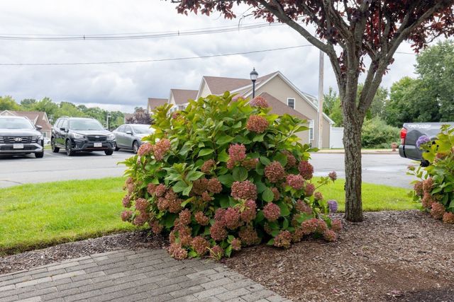 70 Endicott Street 305, Norwood, MA 02062