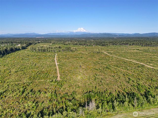 32149 19th Avenue Ct E, Roy, WA 98580