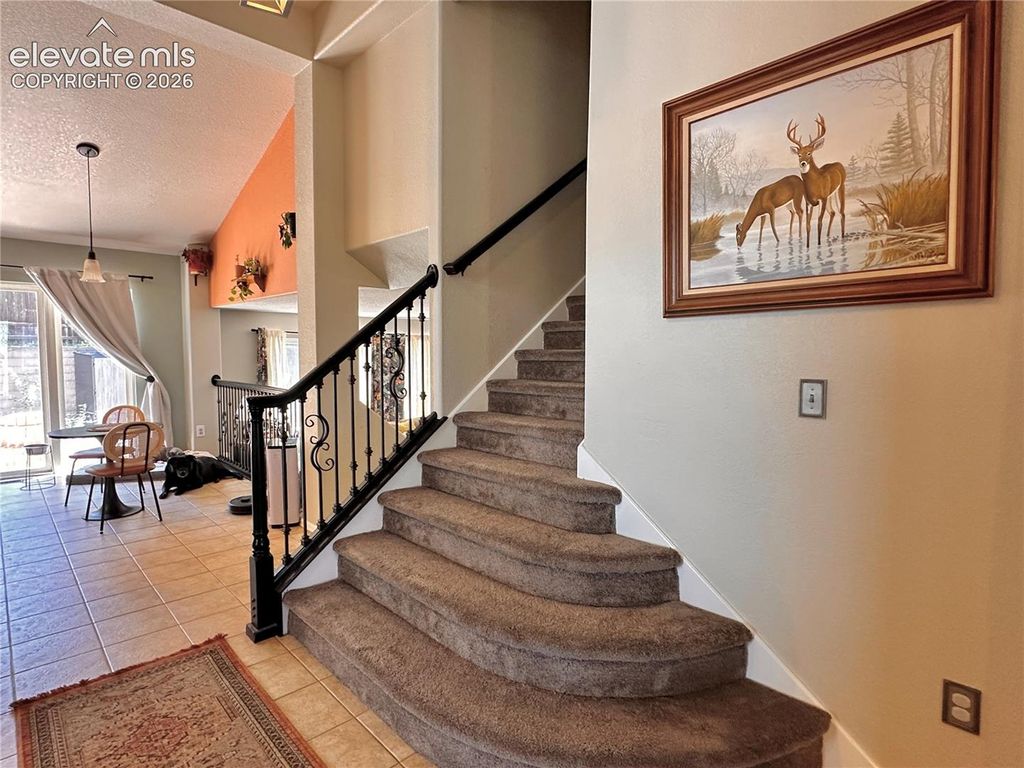 6563 Barrel Race Drive, Colorado Springs, CO 80923 — photo 2