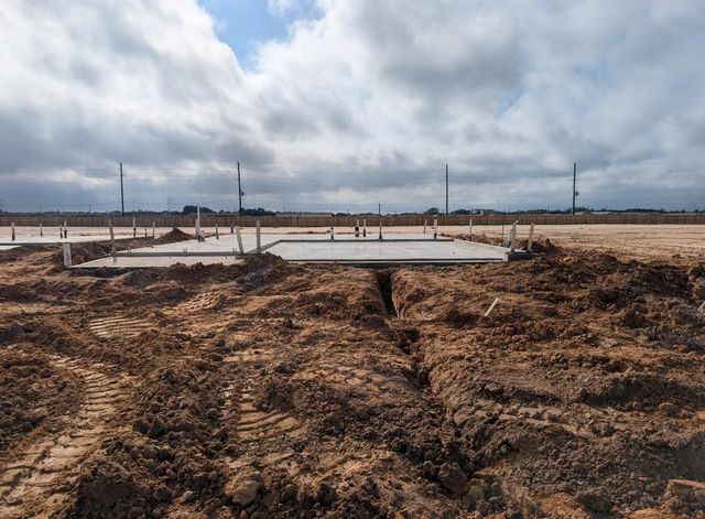 26303 Venus Trap Trail, Katy, TX 77493