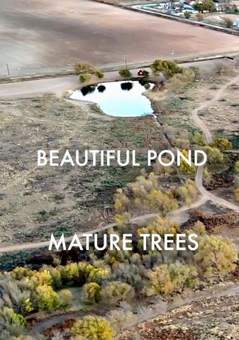 8009 County Rd 6050, Shallowater, TX 79363