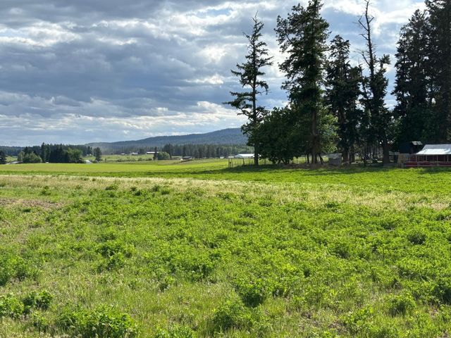 46XX Bittrich-Antler Rd, Deer Park, WA 99006