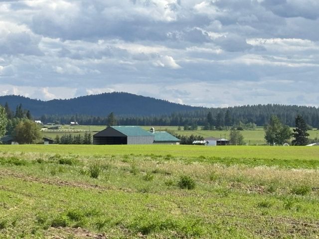 46XX Bittrich-Antler Rd, Deer Park, WA 99006