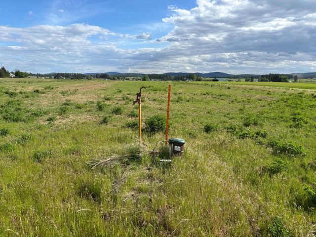 46XX Bittrich-Antler Rd, Deer Park, WA 99006