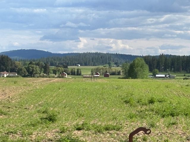 46XX Bittrich-Antler Rd, Deer Park, WA 99006