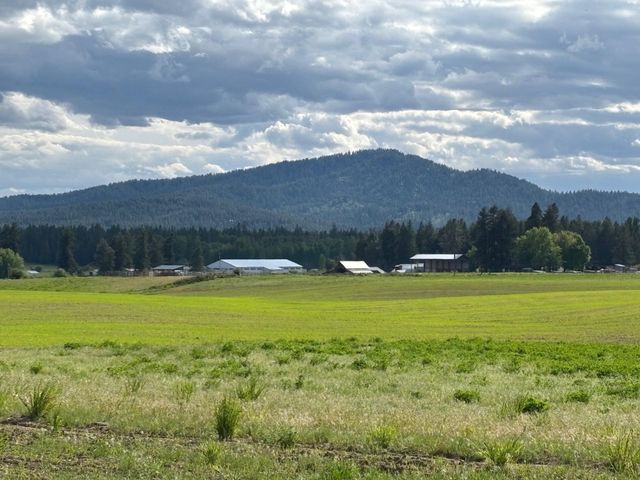 46XX Bittrich-Antler Rd, Deer Park, WA 99006