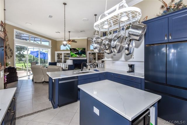 1007 W Beagle Run Loop, Hernando, FL 34442
