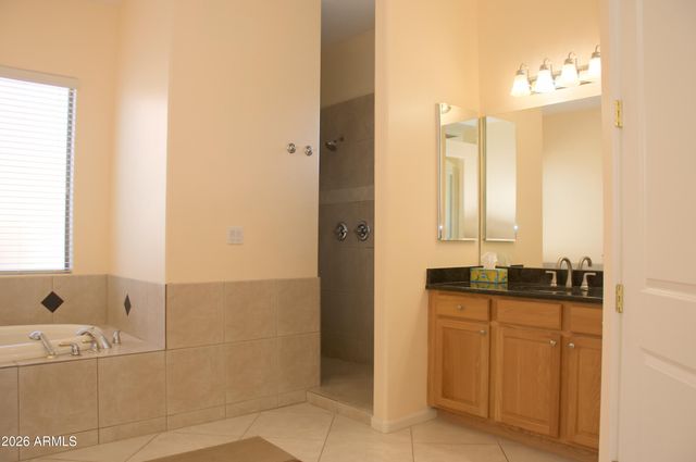 3826 N Rain Cloud Drive, Apache Junction, AZ 85119