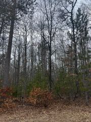 N St Helen Road, lot 163, Roscommon, MI 48653