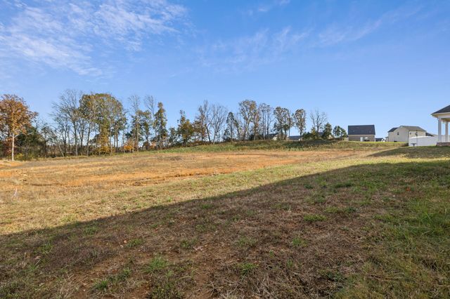 1166 Amber Hills Dr, Ashland City, TN 37015