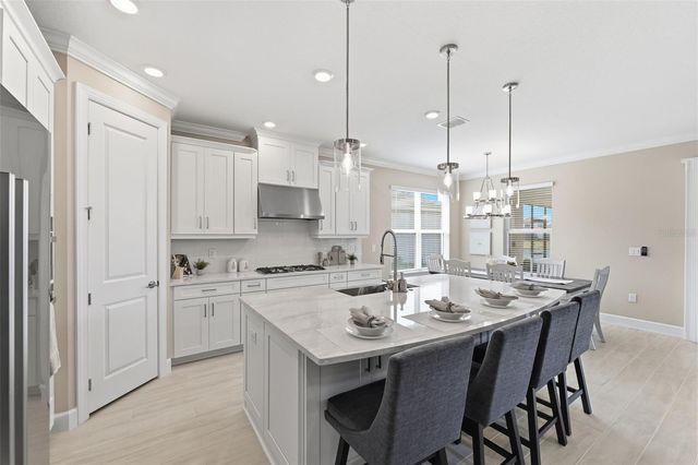 4709 ISONZO WAY, Wesley Chapel, FL 33543