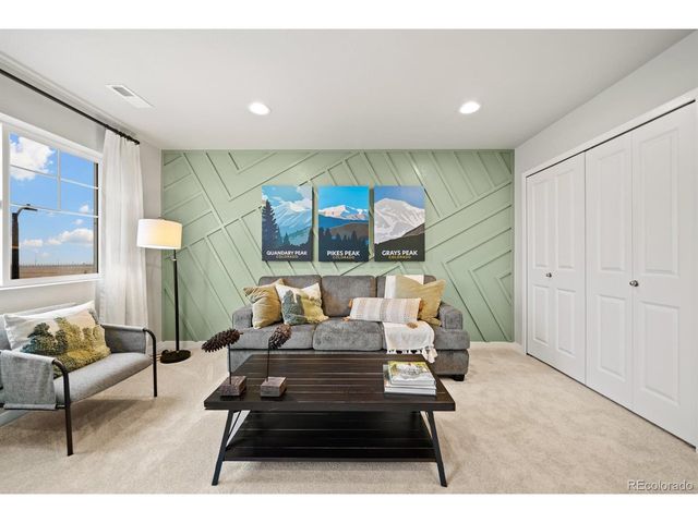 746 N Carrie Ct, Watkins, CO 80137