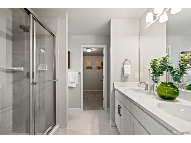 746 N Carrie Ct, Watkins, CO 80137