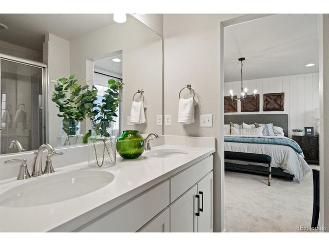 746 N Carrie Ct, Watkins, CO 80137