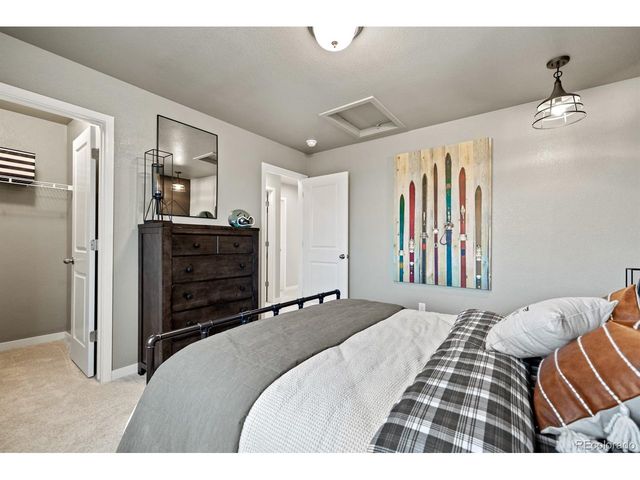 746 N Carrie Ct, Watkins, CO 80137