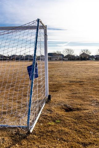 3104 Patrinia Street, Royse City, TX 75189