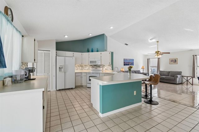 907 BRITTANY PARK BOULEVARD, Tarpon Springs, FL 34689