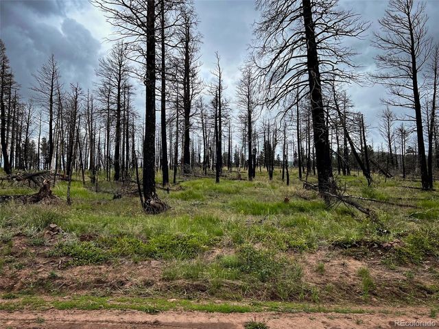 LOT 591 Leslie Loop, Fort Garland, CO 81133