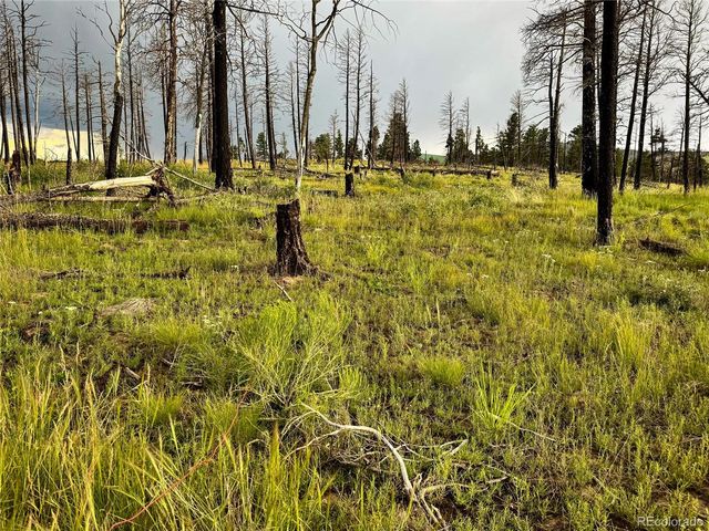 LOT 591 Leslie Loop, Fort Garland, CO 81133