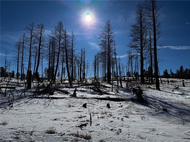 LOT 591 Leslie Loop, Fort Garland, CO 81133