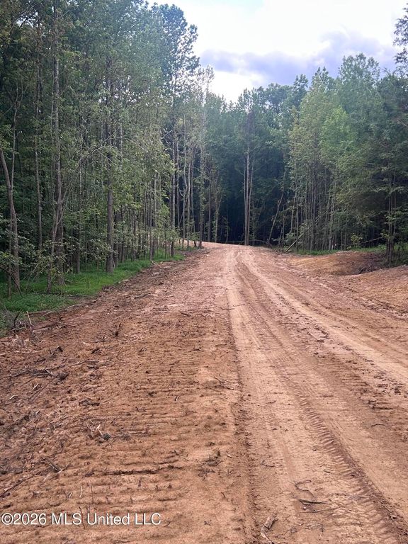 6 Fogg Road, Nesbit, MS 38651 — photo 3