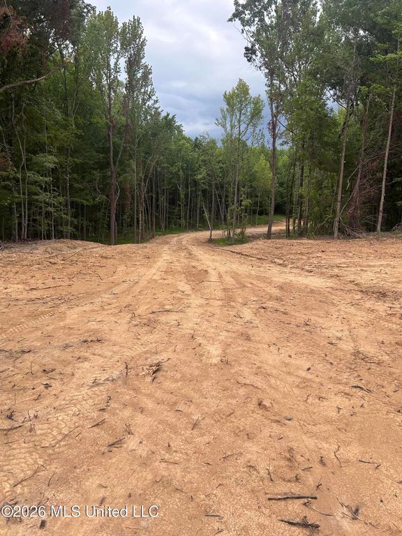 6 Fogg Road, Nesbit, MS 38651 — photo 5