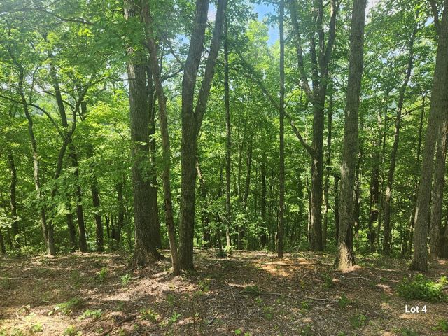 4 Savannah Dr, Smithville, TN 37166