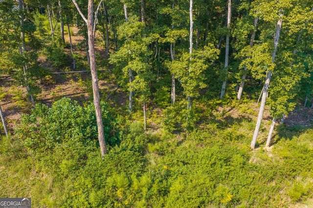 LOT 11 Lake Top Lane, Ellijay, GA 30540